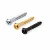 Tremolo Bridge Mounting Screws - StewMac