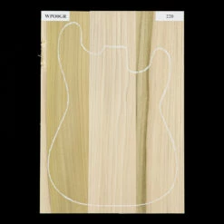 Poplar Body Blank, 3-Piece (10.6 Lb) - 220 - StewMac