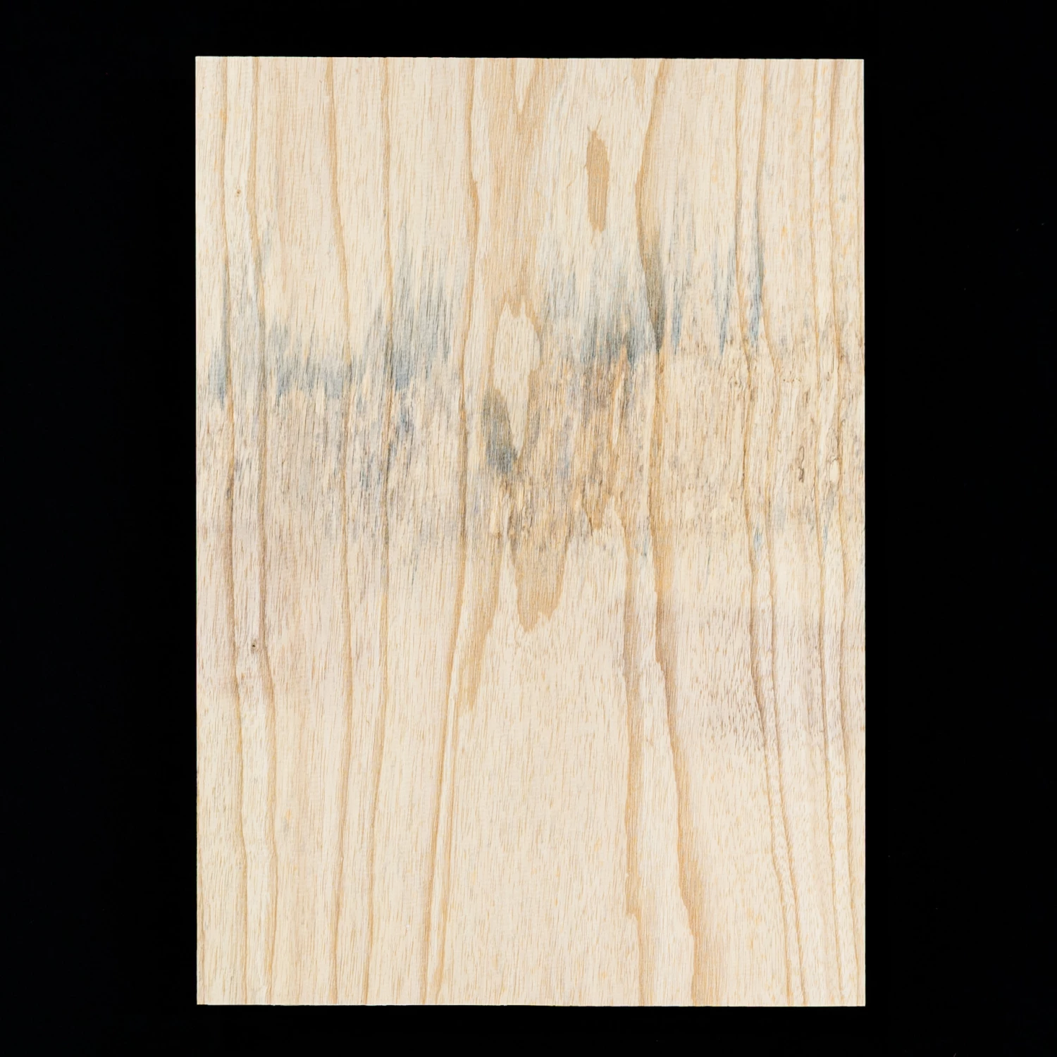 Swamp Ash Body Blank, 1-Piece (8 lb) - 433 - StewMac Swamp Ash Body Blank, 1-Piece (8 Lb) - 433 - StewMac -US Tool Sales Shop wsa2gr 3000 433a